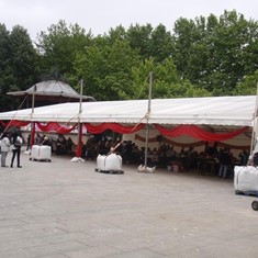 carpa-1