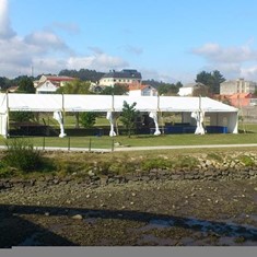 carpa-de-15--