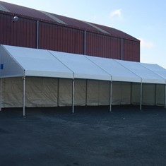 carpa-de-6