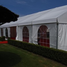 carpa--para-los-aperitivos